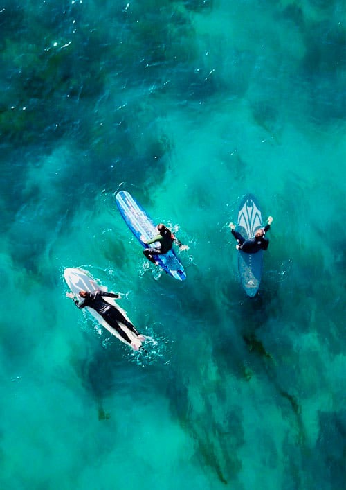manta-ray-paddle-board