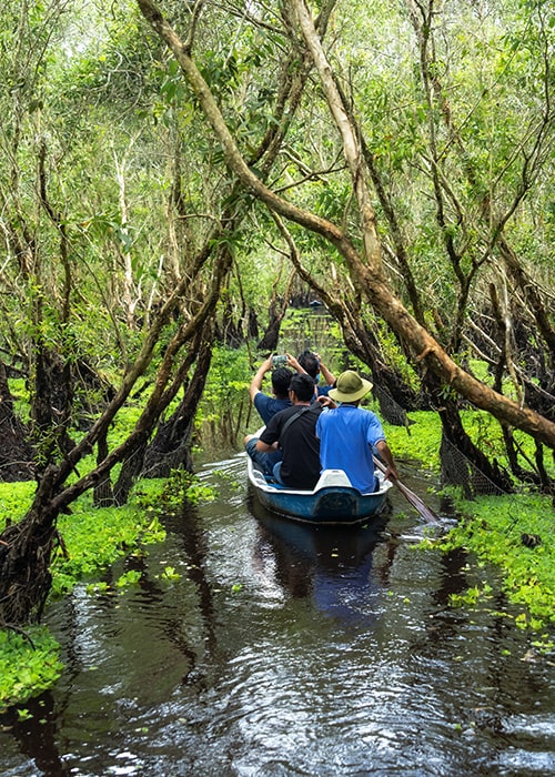 mangroves-tour-bawbawonisland