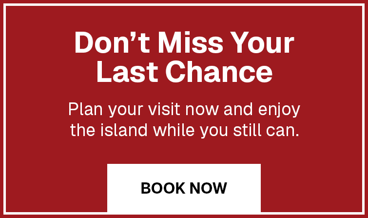 last-chance